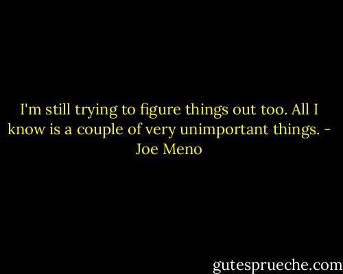 I'm still trying to figure things out too. All I know is a couple of very unimportant things. - Joe Meno