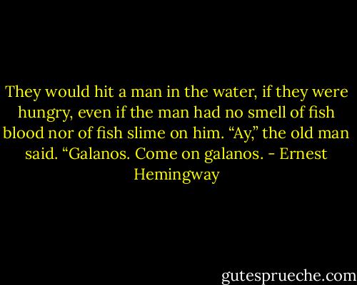 They would hit a man in the water, if they were hungry, even if the man had no smell of fish blood nor of fish slime on him.<br />“Ay,” the old man said. “Galanos. Come on galanos. - Ernest Hemingway