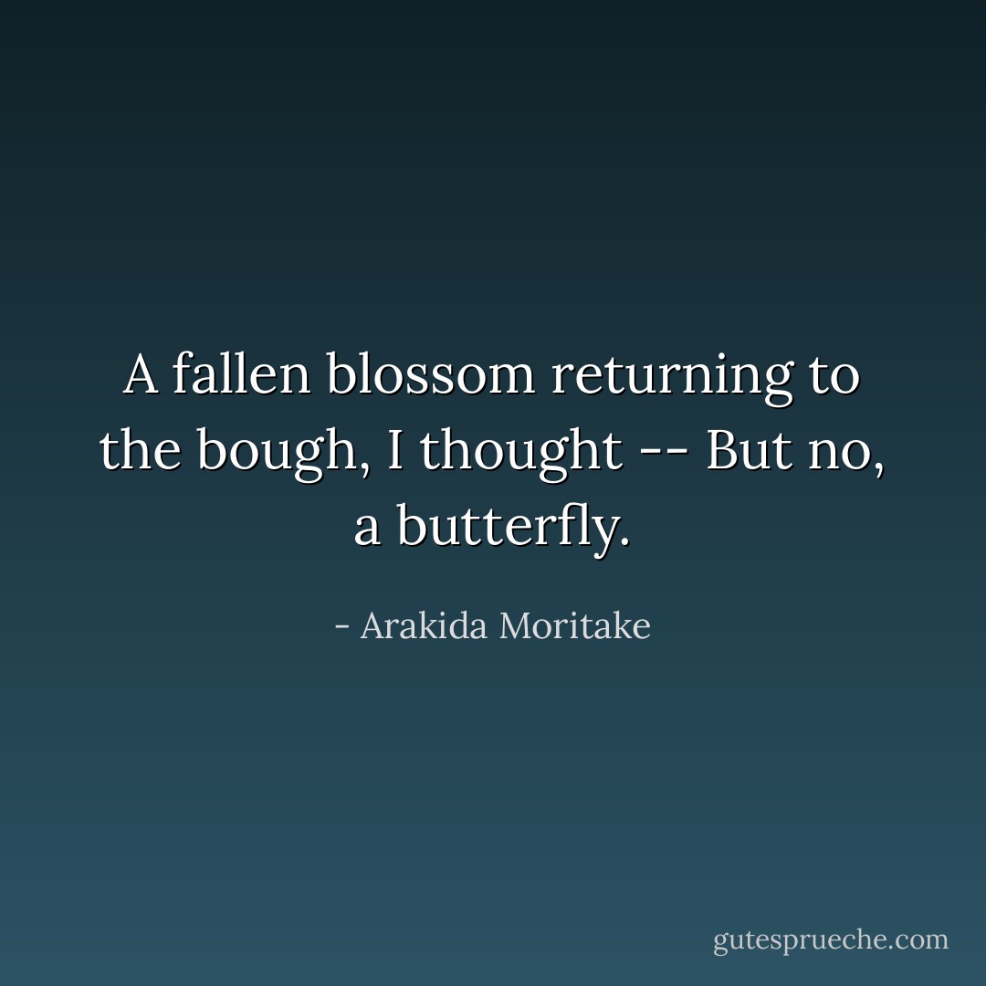 A fallen blossom<br />returning to the bough, I thought --<br />But no, a butterfly. - Arakida Moritake