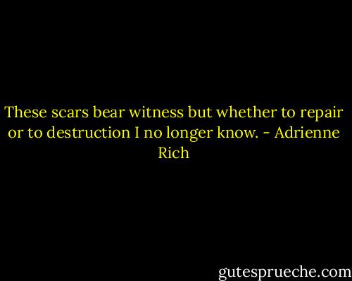 These scars bear witness but whether to repair or to destruction I no longer know. - Adrienne Rich