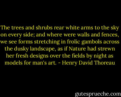 The trees and shrubs rear white arms to the sky on every side; and where were walls and fences, we see forms stretching in frolic gambols across the dusky landscape, as if Nature had strewn her fresh designs over the fields by night as models for man's art. - Henry David Thoreau