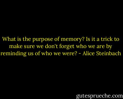 What is the purpose of memory? Is it a trick to make sure we don't forget who we are by reminding us of who we were? - Alice Steinbach