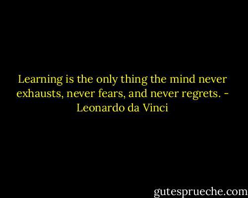 Learning is the only thing the mind never exhausts, never fears, and never regrets. - Leonardo da Vinci