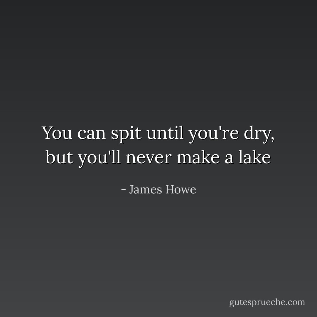 You can spit until you're dry, but you'll never make a lake - James Howe