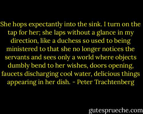 She hops expectantly into the sink. I turn on the tap for her; she laps without a glance in my direction, like a duchess so used to being ministered to that she no longer notices the servants and sees only a world where objects dumbly bend to her wishes, doors opening, faucets discharging cool water, delicious things appearing in her dish. - Peter Trachtenberg