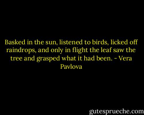 Basked in the sun,<br />listened to birds,<br />licked off raindrops,<br />and only in flight<br />the leaf saw the tree<br />and grasped<br />what it had been. - Vera Pavlova