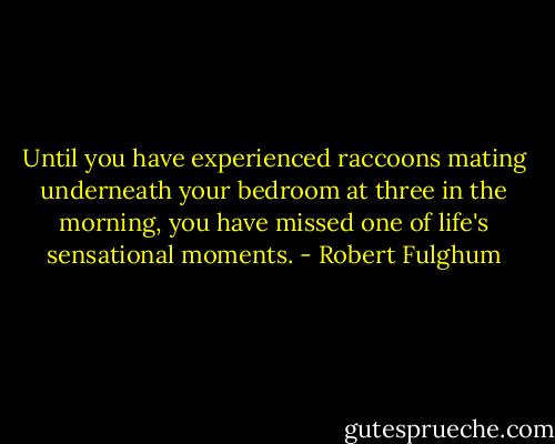 Until you have experienced raccoons mating underneath your bedroom at three in the morning, you have missed one of life's sensational moments. - Robert Fulghum