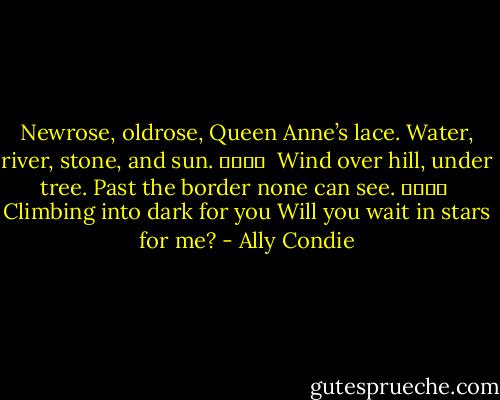 Newrose, oldrose, Queen Anne’s lace.<br />Water, river, stone, and sun.<br />				 <br />Wind over hill, under tree.<br />Past the border none can see.<br />				 <br />Climbing into dark for you<br />Will you wait in stars for me? - Ally Condie