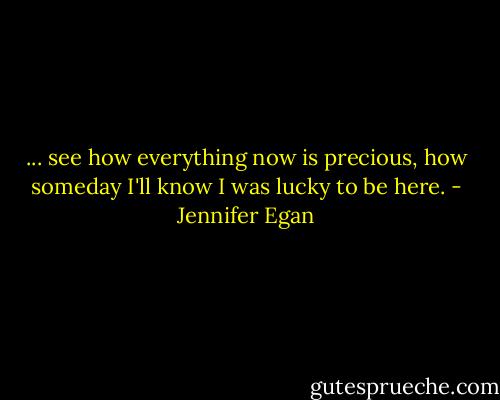 ... see how everything now is precious, how someday I'll know I was lucky to be here. - Jennifer Egan