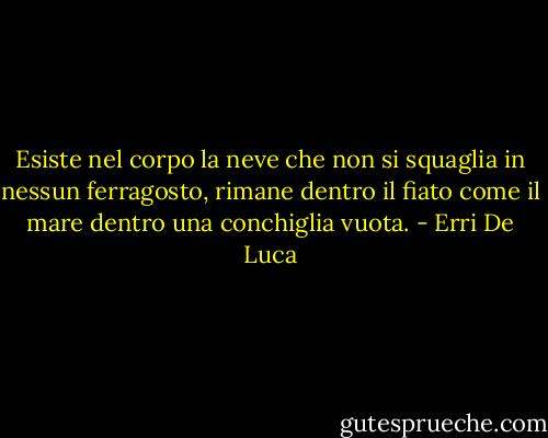 Esiste nel corpo la neve che non si squaglia in nessun ferragosto, rimane dentro il fiato come il mare dentro una conchiglia vuota. - Erri De Luca