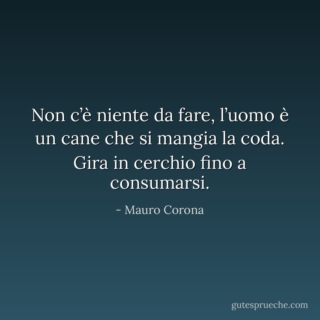 Non c’è niente da fare, l’uomo è un cane che si mangia la coda. Gira in cerchio fino a consumarsi. - Mauro Corona