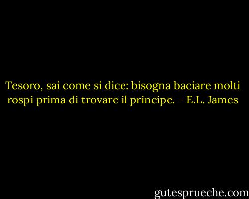 Tesoro, sai come si dice: bisogna baciare molti rospi prima di trovare il principe. - E.L. James