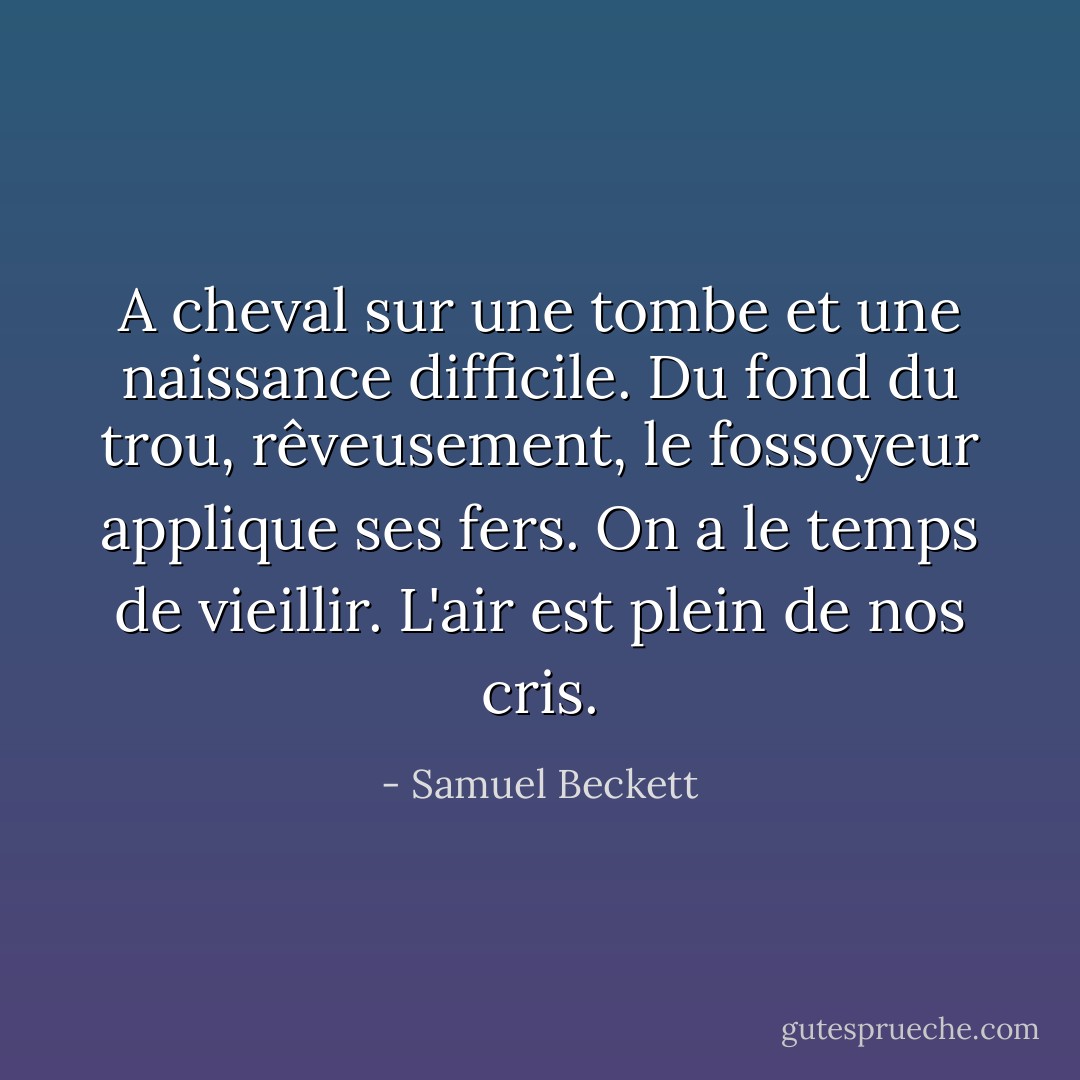A cheval sur une tombe et une naissance difficile. Du fond du trou, rêveusement, le fossoyeur applique ses fers. On a le temps de vieillir. L'air est plein de nos cris. - Samuel Beckett