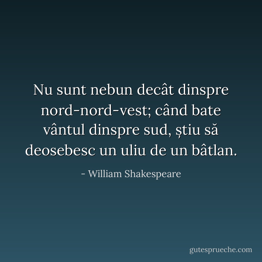 Nu sunt nebun decât dinspre nord-nord-vest; când bate vântul dinspre sud, știu să deosebesc un uliu de un bâtlan. - William Shakespeare