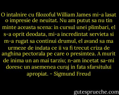 O intalnire cu filozoful William James mi-a lasat o impresie de neuitat. Nu am putut sa nu tin minte aceasta scena: in cursul unei plimbari, el s-a oprit deodata, mi-a incredintat servieta si m-a rugat sa continui drumul, el avand sa ma urmeze de indata ce ii va fi trecut criza de anghina pectorala pe care o presimtea. A murit de inima un an mai tarziu; n-am incetat sa-mi doresc un asemenea curaj in fata sfarsitului apropiat. - Sigmund Freud