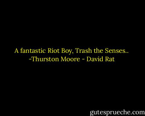 A fantastic Riot Boy, Trash the Senses..<br />-Thurston Moore - David Rat