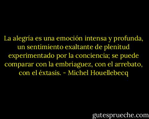 La alegría es una emoción intensa y profunda, un sentimiento exaltante de plenitud experimentado por la conciencia; se puede comparar con la embriaguez, con el arrebato, con el éxtasis. - Michel Houellebecq