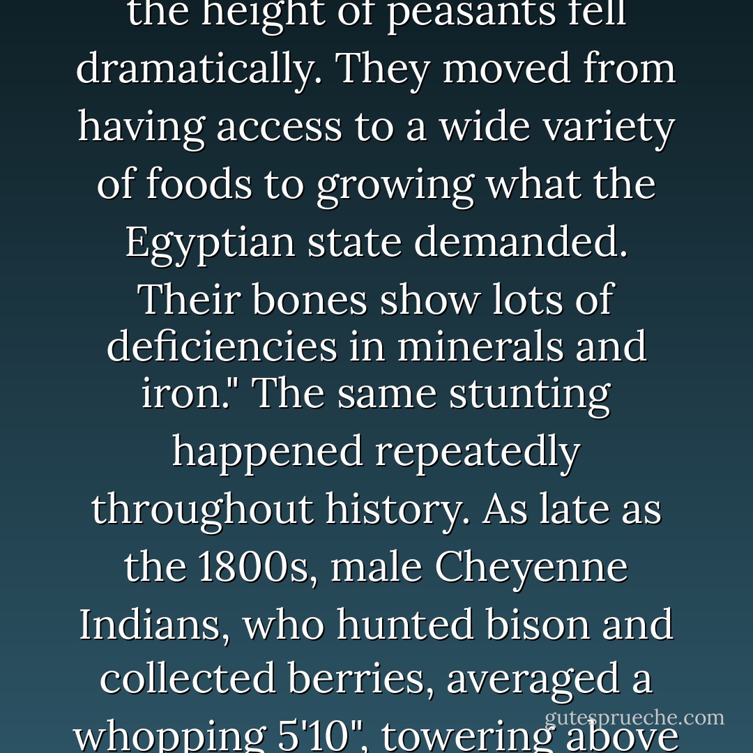 Heights plummeted because of a little disaster called civilization. "Heights go way down when we go into state society," says Bogin. "When Egypt conquered the Nile area, the height of peasants fell dramatically. They moved from having access to a wide variety of foods to growing what the Egyptian state demanded. Their bones show lots of deficiencies in minerals and iron." The same stunting happened repeatedly throughout history. As late as the 1800s, male Cheyenne Indians, who hunted bison and collected berries, averaged a whopping 5'10", towering above even today's Americans, not to mention General Custer's cavalry, which averaged 5'7", and the period's wealthy European monarchies. - Arianne Cohen
