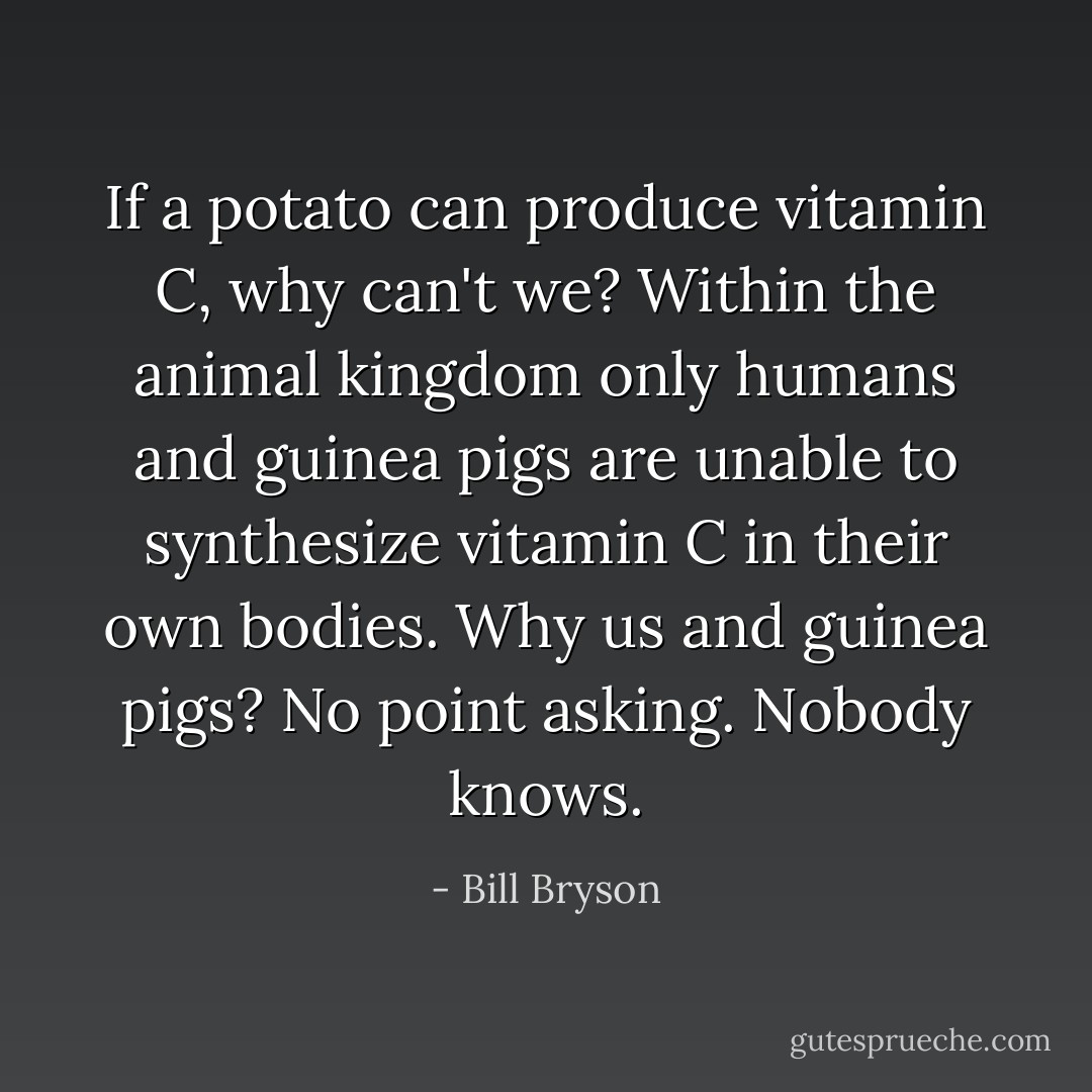 If a potato can produce vitamin C, why can't we? Within the animal kingdom only humans and guinea pigs are unable to synthesize vitamin C in their own bodies. Why us and guinea pigs? No point asking. Nobody knows. - Bill Bryson