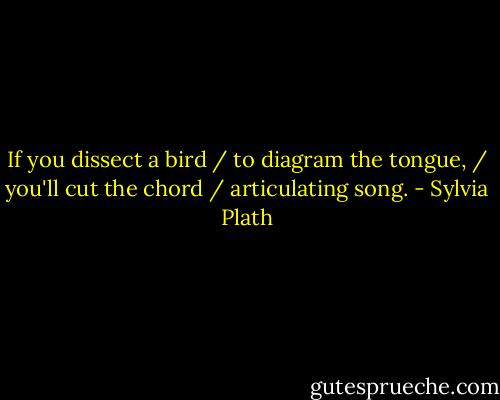 If you dissect a bird / to diagram the tongue, / you'll cut the chord / articulating song. - Sylvia Plath