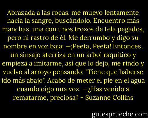 Abrazada a las rocas, me muevo lentamente hacia la sangre, buscándolo. Encuentro más manchas, una con unos trozos de tela pegados, pero ni rastro de él. Me derrumbo y digo su nombre en voz baja:<br />—﻿¡Peeta, Peeta!<br />Entonces, un sinsajo aterriza en un árbol raquítico y empieza a imitarme, así que lo dejo, me rindo y vuelvo al arroyo pensando: "Tiene que haberse ido más abajo".<br />Acabo de meter el pie en el agua cuando oigo una voz.<br />—﻿¿Has venido a rematarme, preciosa? - Suzanne Collins