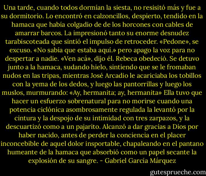 Una tarde, cuando todos dormían la siesta, no resisitó más y fue a su dormitorio. Lo encontró en calzoncillos, despierto, tendido en la hamaca que había colgadio de de los horcones con cables de amarrar barcos. La impresionó tanto su enorme desnudez tarabiscoteada que sintió el impulso de retroceder. «Pedone», se excuso. «No sabía que estaba aquí.» pero apago la voz para no despertar a nadie. «Ven acá», dijo él. Rebeca obedeció. Se detuvo junto a la hamaca, sudando hielo, sintiendo que se le fromaban nudos en las tripas, mientras José Arcadio le acariciaba los tobillos con la yema de los dedos, y luego las pantorrillas y luego los muslos, murmurando: «Ay, hermanita; ay, hermanita» Ella tuvo que hacer un esfuerzo sobrenatural para no morirse cuando una potencia ciclónica asombrosamente regulada la levantó por la cintura y la despojo de su intimidad con tres zarpazos, y la descuartizó como a un pajarito. Alcanzó a dar gracias a Dios por haber nacido, antes de perder la conciencia en el placer inconcebible de aquel dolor insportable, chapaleando en el pantano humeante de la hamaca que absorbió como un papel secante la explosión de su sangre. - Gabriel García Márquez