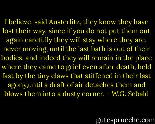 I believe, said Austerlitz, they know they have lost their way, since if you do not put them out again carefully they will stay where they are, never moving, until the last bath is out of their bodies, and indeed they will remain in the place where they came to grief even after death, held fast by the tiny claws that stiffened in their last agony,until a draft of air detaches them and blows them into a dusty corner. - W.G. Sebald