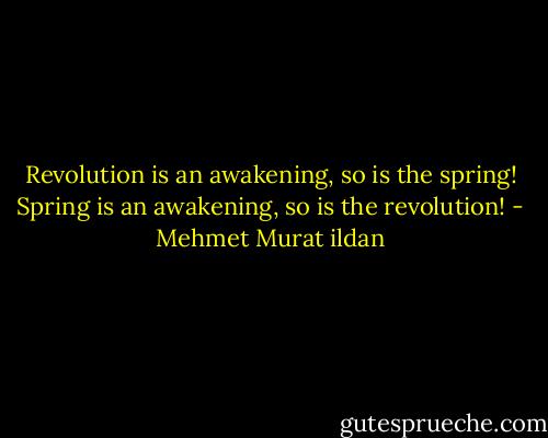 Revolution is an awakening, so is the spring! Spring is an awakening, so is the revolution! - Mehmet Murat ildan