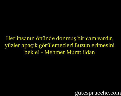 Her insanın önünde donmuş bir cam vardır, yüzler apaçık görülemezler! Buzun erimesini bekle! - Mehmet Murat ildan