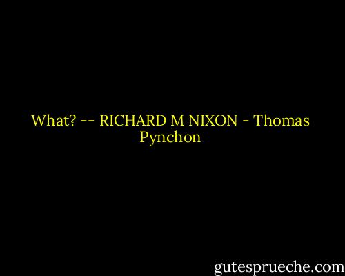 What? -- RICHARD M NIXON - Thomas Pynchon