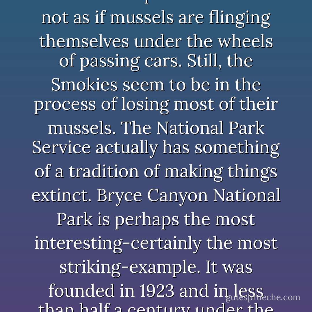 Three hundred types of mussel, a third of the world’s total, live in the Smokies. Smokies mussels have terrific names, like purple wartyback, shiny pigtoe, and monkeyface pearlymussel. Unfortunately, that is where all interest in them ends. Because they are so little regarded, even by naturalists, mussels have vanished at an exceptional rate. Nearly half of all Smokies mussels species are endangered; twelve are thought to be extinct.<br /><br />This ought to be a little surprising in a national park. I mean it’s not as if mussels are flinging themselves under the wheels of passing cars. Still, the Smokies seem to be in the process of losing most of their mussels. The National Park Service actually has something of a tradition of making things extinct. Bryce Canyon National Park is perhaps the most interesting-certainly the most striking-example. It was founded in 1923 and in less than half a century under the Park Service’s stewardship lost seven species of mammal-the white-tailed jackrabbit, prairie dog, pronghorn antelope, flying squirrel, beaver, red fox, and spotted skunk. Quite an achievement when you consider that these animals had survived in Bryce Canyon for tens of millions of years before the Park Service took an interest in them. Altogether, forty-two species of mammal have disappeared from America's national parks this century. - Bill Bryson