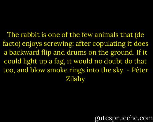 The rabbit is one of the few animals that (de facto) enjoys screwing: after copulating it does a backward flip and drums on the ground. If it could light up a fag, it would no doubt do that too, and blow smoke rings into the sky. - Péter Zilahy