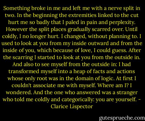 Something broke in me and left me with a nerve split in two. In the beginning the extremities linked to the cut hurt me so badly that I paled in pain and perplexity. However the split places gradually scarred over. Until coldly, I no longer hurt. I changed, without planning to. I used to look at you from my inside outward and from the inside of you, which because of love, I could guess. After the scarring I started to look at you from the outside in. And also to see myself from the outside in: I had transformed myself into a heap of facts and actions whose only root was in the domain of logic. At first I couldn't associate me with myself. Where am I? I wondered. And the one who answered was a stranger who told me coldly and categorically: you are yourself. - Clarice Lispector