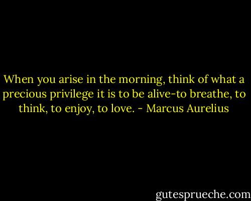 When you arise in the morning, think of what a precious privilege it is to be alive-to breathe, to think, to enjoy, to love. - Marcus Aurelius