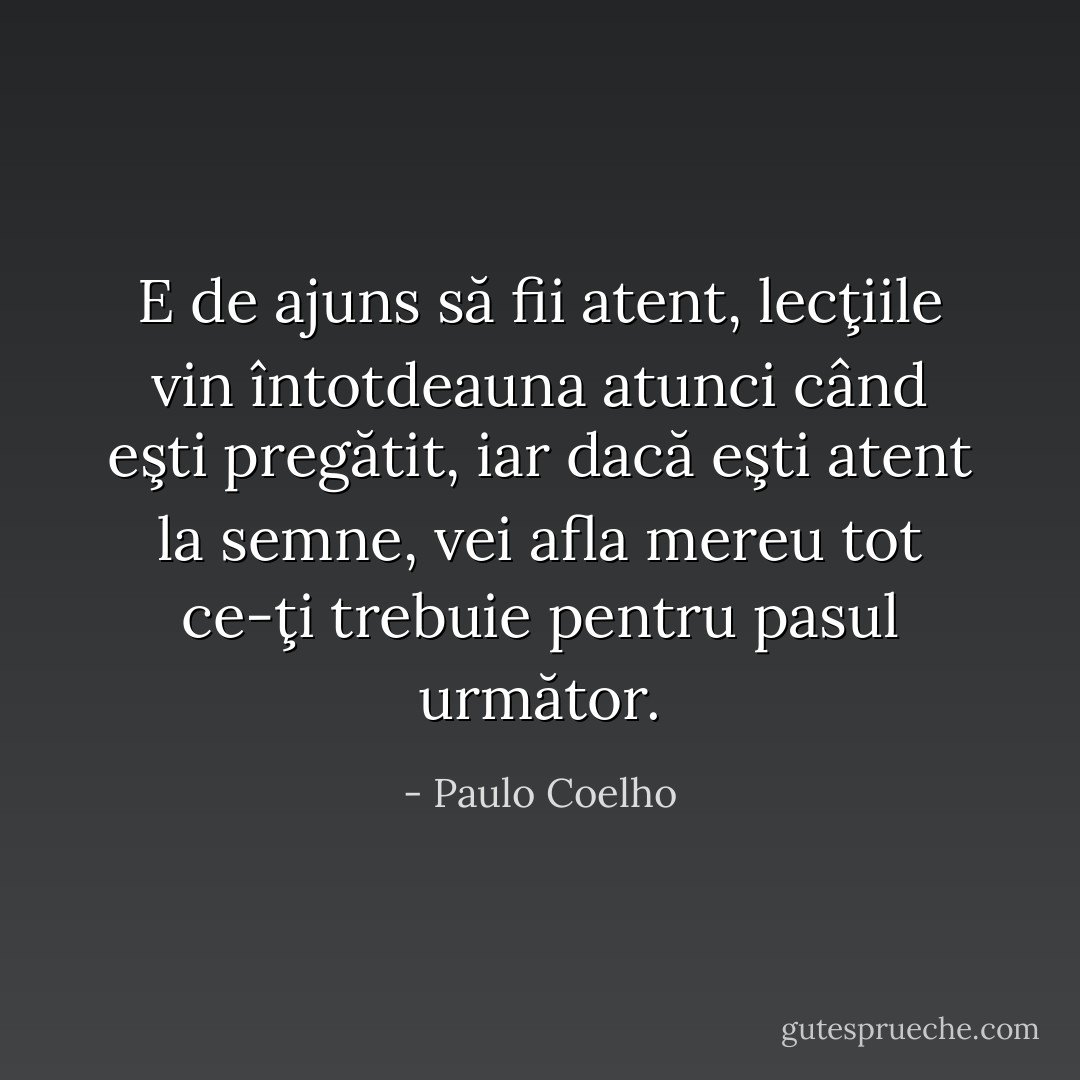 E de ajuns să fii atent, lecţiile vin întotdeauna atunci când eşti pregătit, iar dacă eşti atent la semne, vei afla mereu tot ce-ţi trebuie pentru pasul următor. - Paulo Coelho