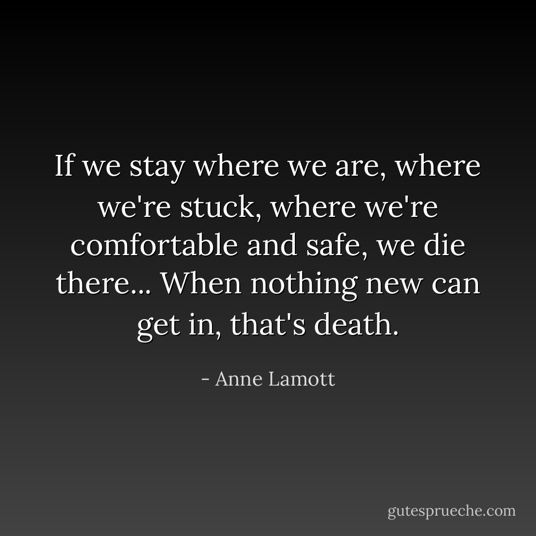 If we stay where we are, where we're stuck, where we're comfortable and safe, we die there... When nothing new can get in, that's death. - Anne Lamott