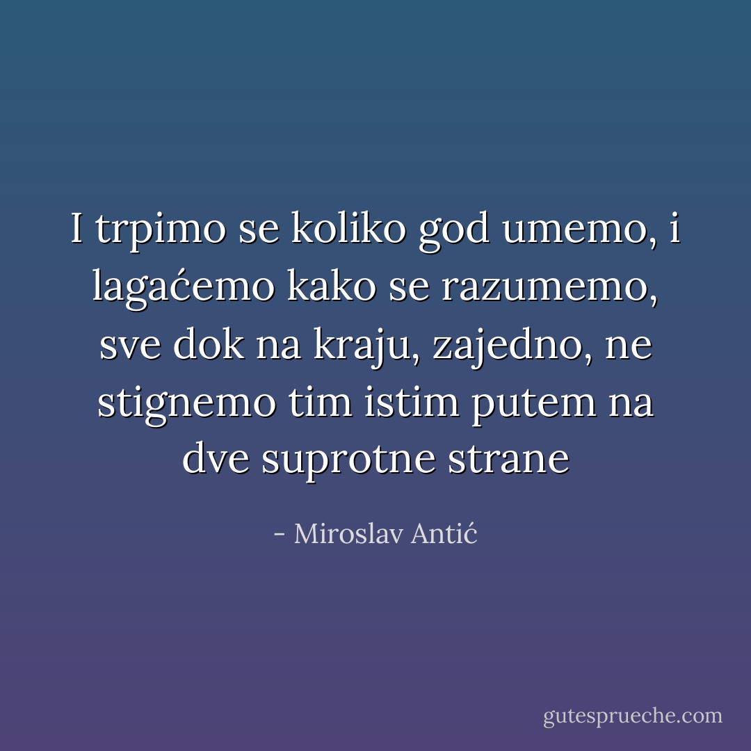 I trpimo se koliko god umemo, i lagaćemo kako se razumemo, sve dok na kraju, zajedno, ne﻿ stignemo tim istim putem na dve suprotne strane - Miroslav Antić