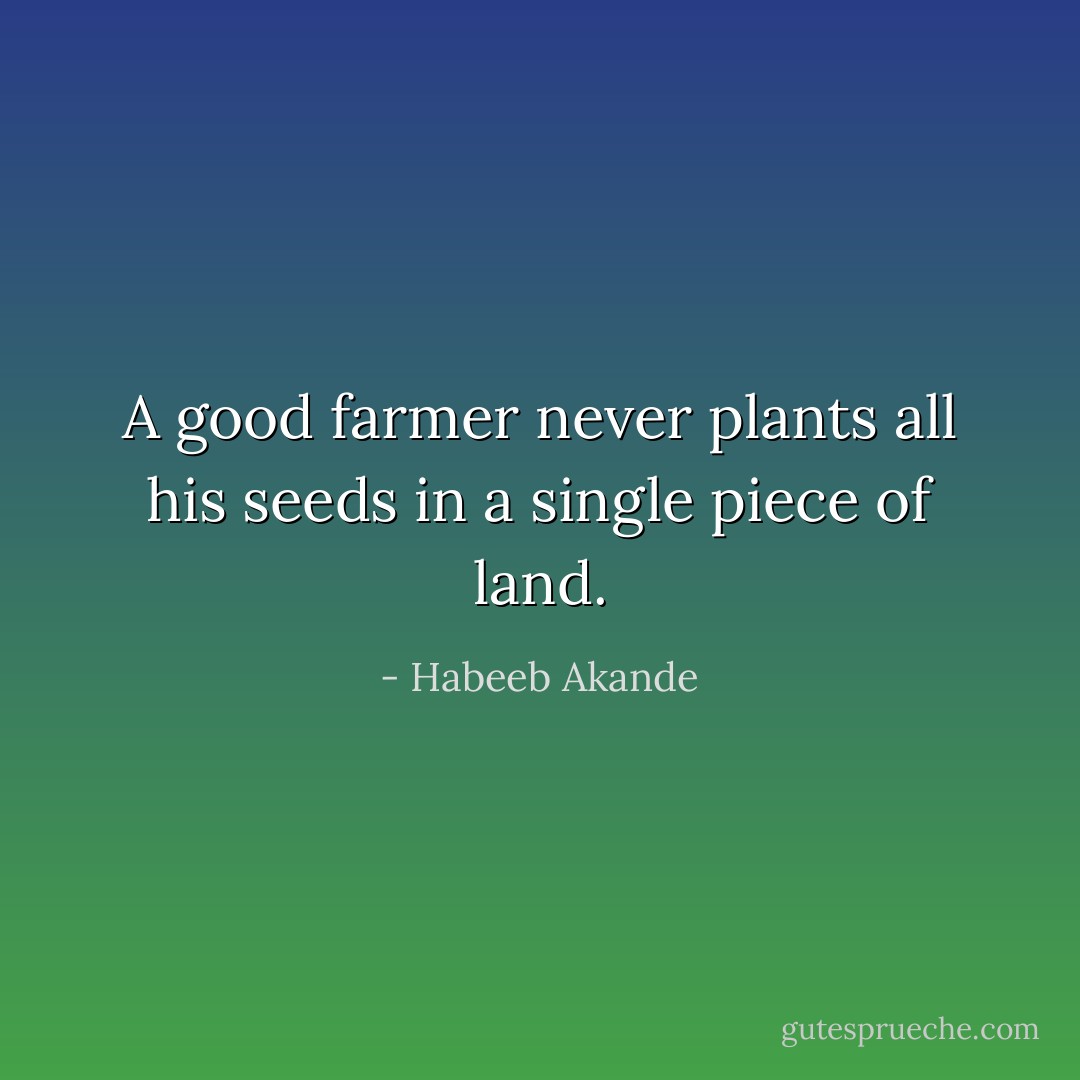 A good farmer never plants all his seeds in a single piece of land. - Habeeb Akande