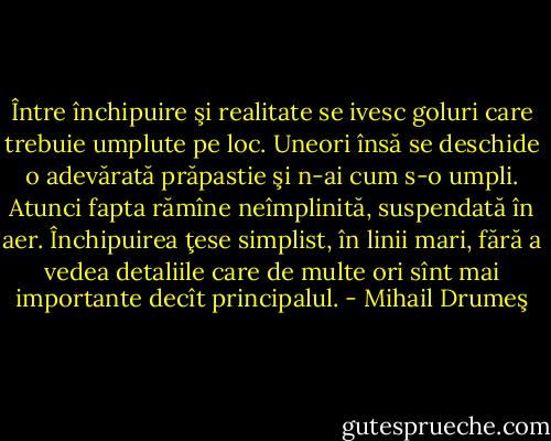 Între închipuire şi realitate se ivesc goluri care trebuie umplute pe loc. Uneori însă se deschide o adevărată prăpastie şi n-ai cum s-o umpli. Atunci fapta rămîne neîmplinită, suspendată în aer. Închipuirea ţese simplist, în linii mari, fără a vedea detaliile care de multe ori sînt mai importante decît principalul. - Mihail Drumeş
