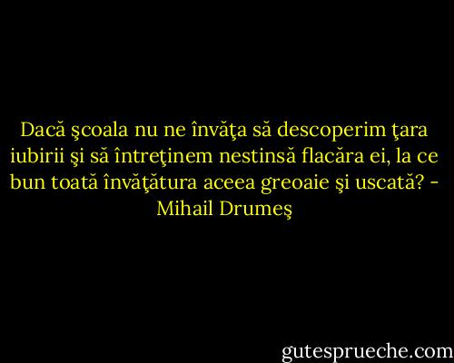 Dacă şcoala nu ne învăţa să descoperim ţara iubirii şi să întreţinem nestinsă flacăra ei, la ce bun toată învăţătura aceea greoaie şi uscată? - Mihail Drumeş