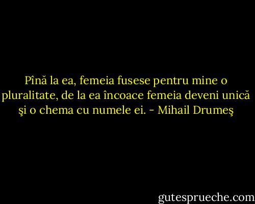 Pînă la ea, femeia fusese pentru mine o pluralitate, de la ea încoace femeia deveni unică şi o chema cu numele ei. - Mihail Drumeş