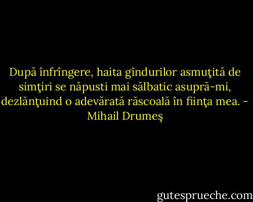După înfrîngere, haita gîndurilor asmuţită de simţiri se năpusti mai sălbatic asupră-mi, dezlănţuind o adevărată răscoală în fiinţa mea. - Mihail Drumeş