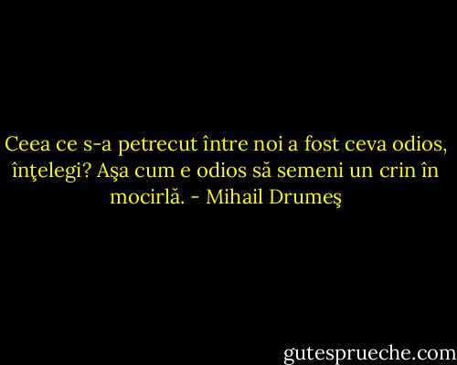 Ceea ce s-a petrecut între noi a fost ceva odios, înţelegi? Aşa cum e odios să semeni un crin în mocirlă. - Mihail Drumeş