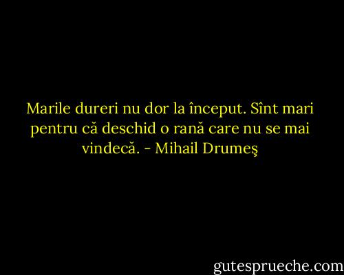 Marile dureri nu dor la început. Sînt mari pentru că deschid o rană care nu se mai vindecă. - Mihail Drumeş