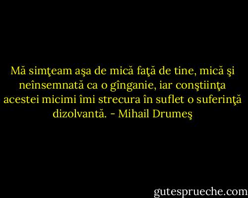 Mă simţeam aşa de mică faţă de tine, mică şi neînsemnată ca o gînganie, iar conştiinţa acestei micimi îmi strecura în suflet o suferinţă dizolvantă. - Mihail Drumeş