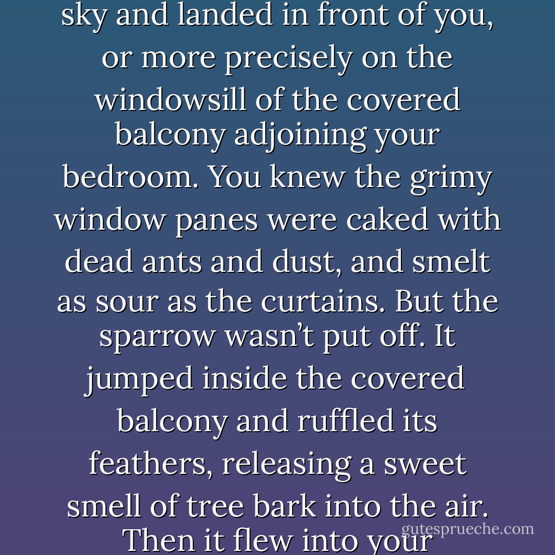 Before the sparrow arrived, you had almost stopped thinking about flight. Then, last winter, it soared through the sky and landed in front of you, or more precisely on the windowsill of the covered balcony adjoining your bedroom. You knew the grimy window panes were caked with dead ants and dust, and smelt as sour as the curtains. But the sparrow wasn’t put off. It jumped inside the covered balcony and ruffled its feathers, releasing a sweet smell of tree bark into the air. Then it flew into your bedroom, landed on your chest and stayed there like a cold egg. - Ma Jian