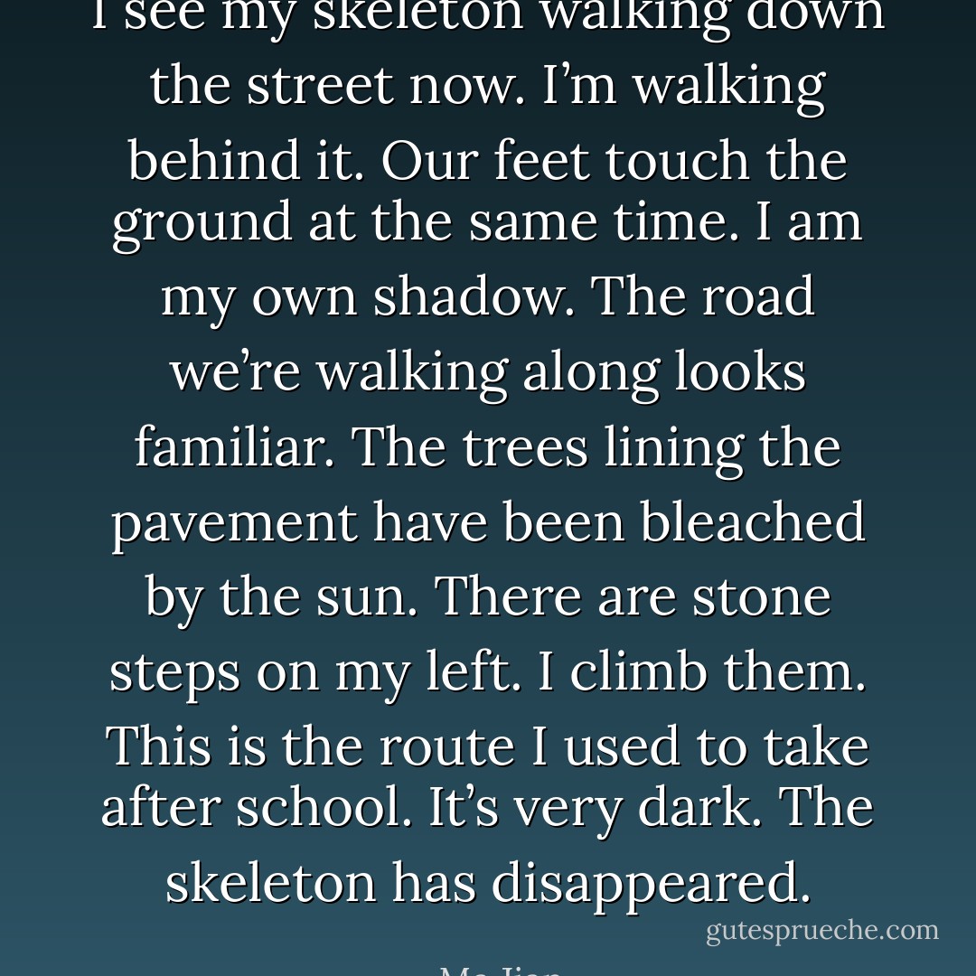 I see my skeleton walking down the street now. I’m walking behind it. Our feet touch the ground at the same time. I am my own shadow. The road we’re walking along looks familiar. The trees lining the pavement have been bleached by the sun. There are stone steps on my left. I climb them. This is the route I used to take after school. It’s very dark. The skeleton has disappeared. - Ma Jian