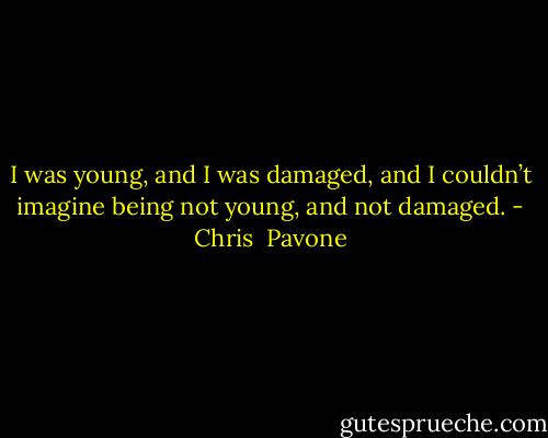 I was young, and I was damaged, and I couldn’t imagine being not young, and not damaged. - Chris  Pavone