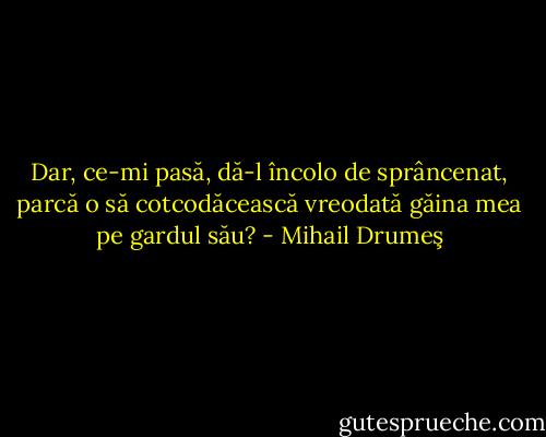 Dar, ce-mi pasă, dă-l încolo de sprâncenat, parcă o să cotcodăcească vreodată găina mea pe gardul său? - Mihail Drumeş