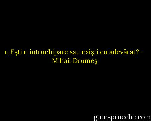 ― Eşti o întruchipare sau exişti cu adevărat? - Mihail Drumeş